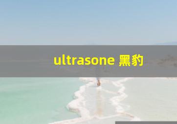 ultrasone 黑豹